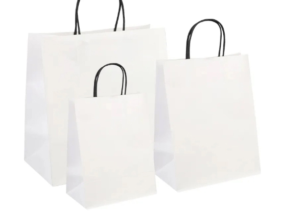  Wholesale Biodegradable Kraft Paper Bag For shopping 