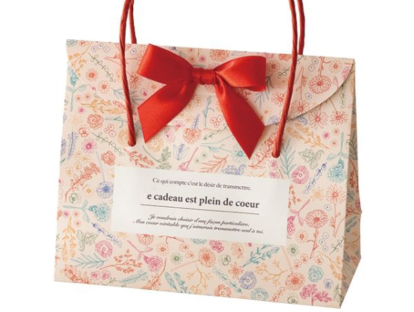 Pink Gift Paper Bags With Custom Logo Design