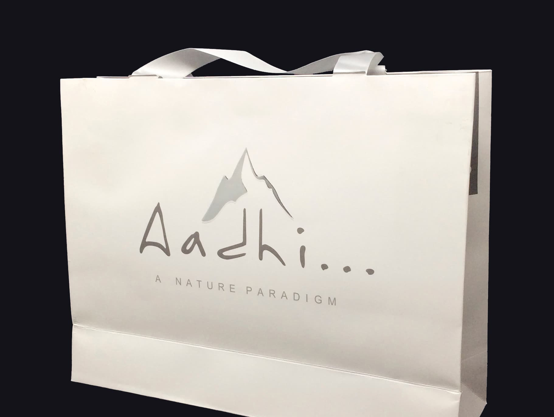 China Factory Shopping Paper Bag With Logo customization