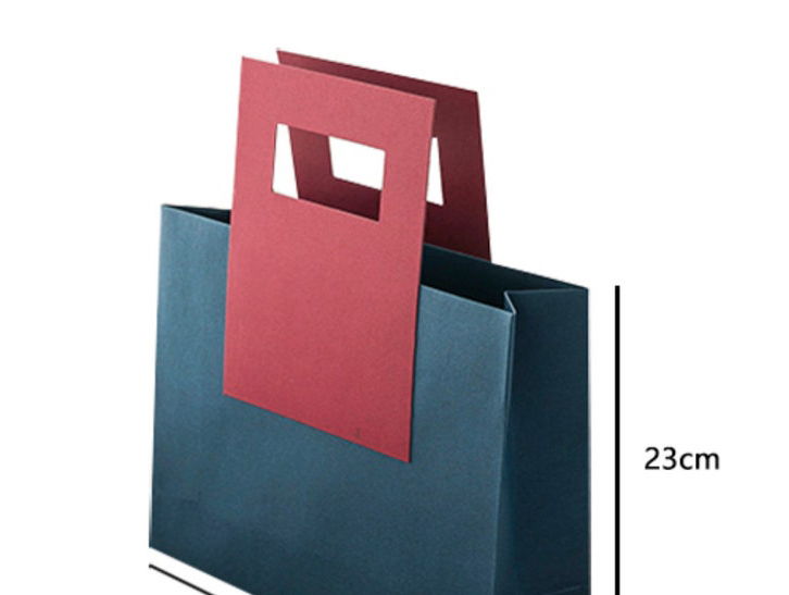  Latest Design Shopping Paper Bag