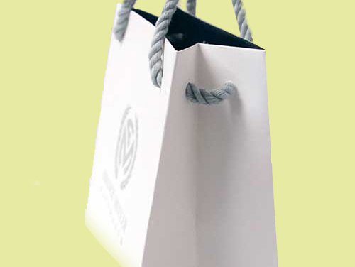 Cosmetic And Clothing Shopping Paper Bag 