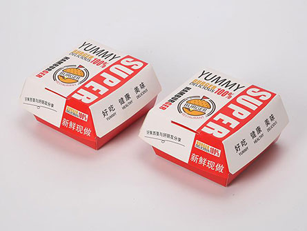 Disposable Box For Hamburger