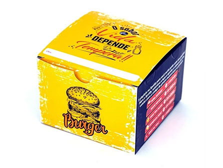 Printer Burger Boxes With Fries Pair Box