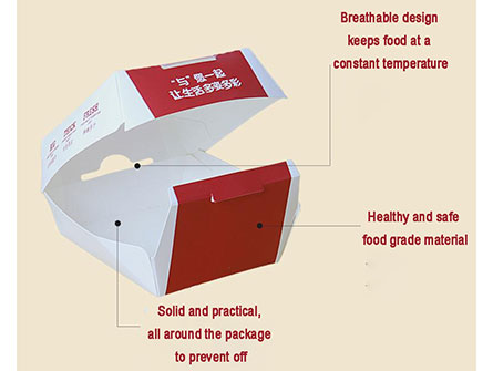 Fast Food Packaging Box 