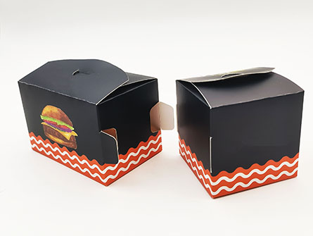 Burger With French Fries Packaging Box 