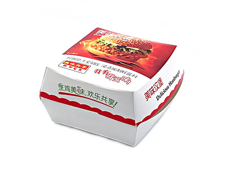 Burger Paper Boxes Manufacturer