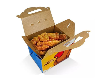 Disposable Fast Food Packing 