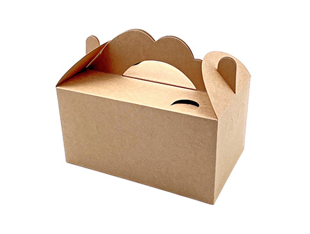 Paper Box Packaging With Handle