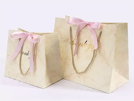 Paper Bag With Ribbon Bowknot