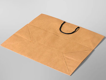 Take Out To Go Brown Paper Bag