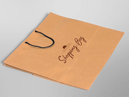 Take Out To Go Brown Paper Bag