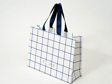 Luxury Lamination Gift Bags