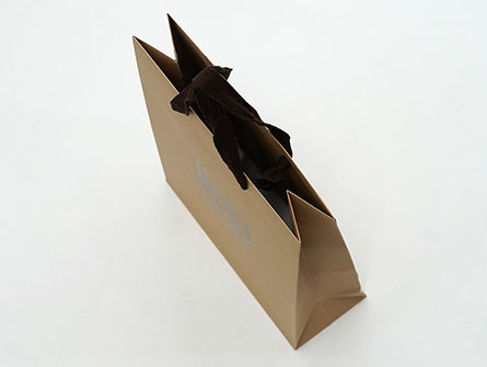 Paper Bag Eco Friendly Shopping Bags