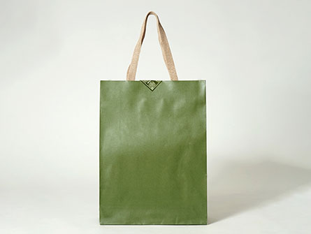 Art Paper Gift Bags 