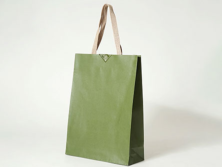 Art Paper Gift Bags 