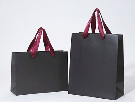 Custom Printed Shopping Paper Bag