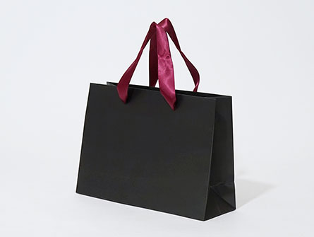 Custom Printed Shopping Paper Bag