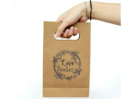 Paperbag With Die Cut Handle