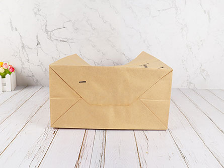 Plain Recyclable Paper Bag