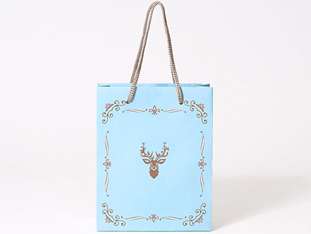 Shopping Gift Paper Bag With Handle