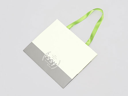 Free Sample Paper Bag With Handle