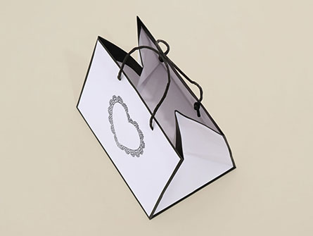 Promotional Custom Paper Bag