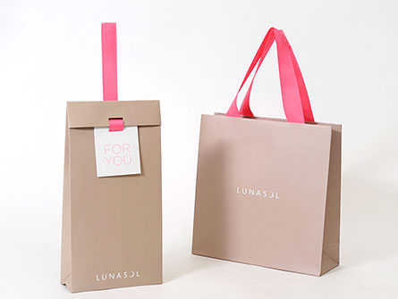 Luxury Paper Bag Shopping Bag With Ribbon Handle