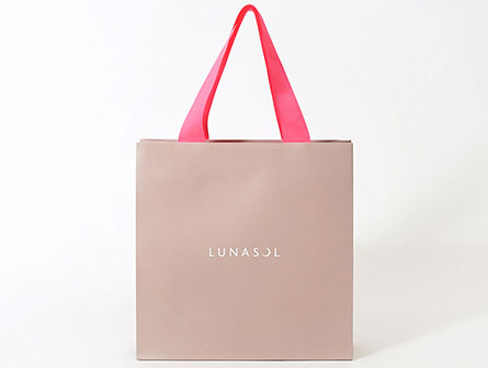 Luxury Paper Bag Shopping Bag With Ribbon Handle