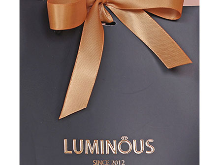 Boutique Logos Paper Bag With Ribbon 