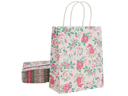 Paper Clothing Shopping Bags