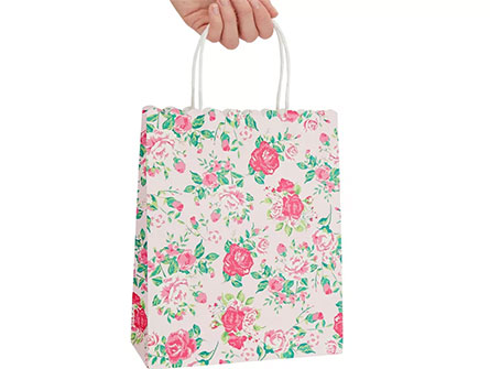 Paper Clothing Shopping Bags