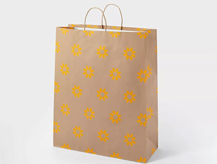 Luxury Shopping Paper Bag With Logo 