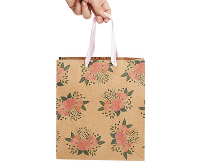 Shopping Business Paper Gift Bag With Handle