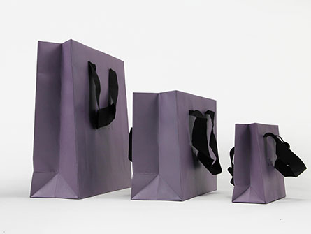 Paper Bags With Gross Grain Ribbon