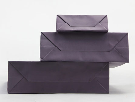 Paper Bags With Gross Grain Ribbon