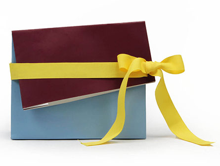 Paper Gift Bag With Flap Ribbon Closure