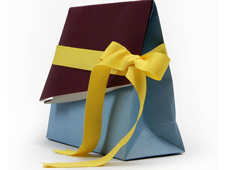 Paper Gift Bag With Flap Ribbon Closure