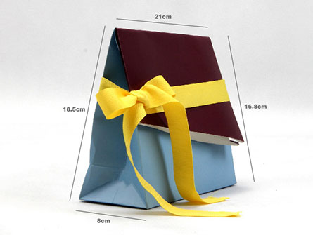 Paper Gift Bag With Flap Ribbon Closure