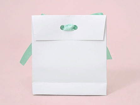 Jewelry Paper Shopping Bag