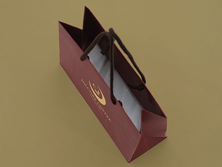 Luxury Shopping Paper Bag Printed