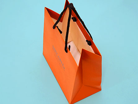 Gift Clothing Shopping Paper Bag