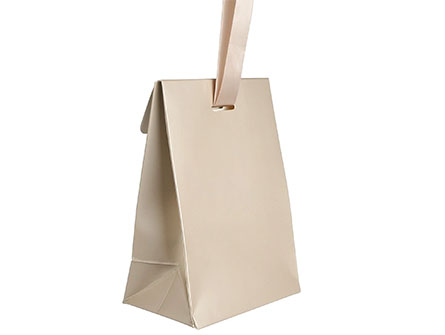 Gift Paper Bags With Business