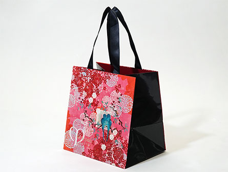 Small Paper Gift Bag With Your Own Logo