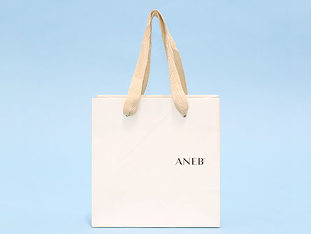 Paper Bag Small Shopping Bag