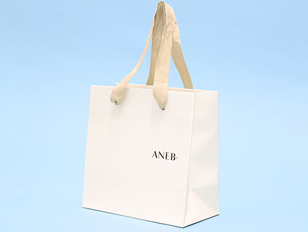 Paper Bag Small Shopping Bag