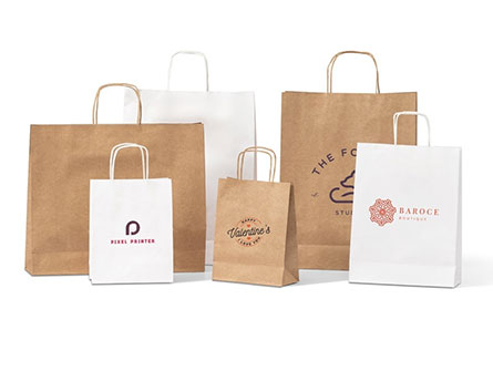 Takeaway Brown Paper Kraft Bag