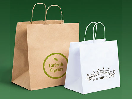 Food Take Away Paper Bag