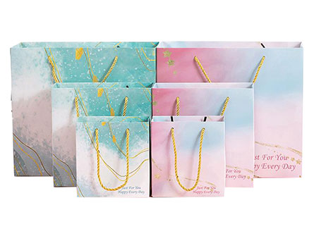 Shopping Paper Bag With Handles