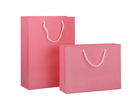 Handle Packaging Paper Bags