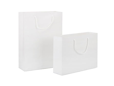 Handle Packaging Paper Bags